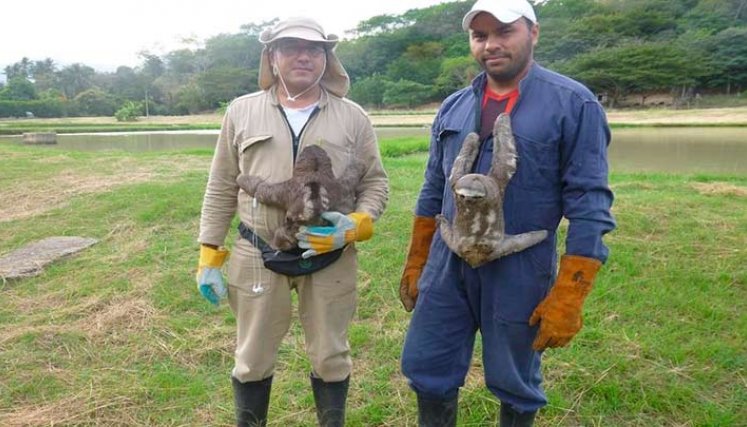 Guardianes de la fauna desamparada en Norte de Santander./Foto cortesía
