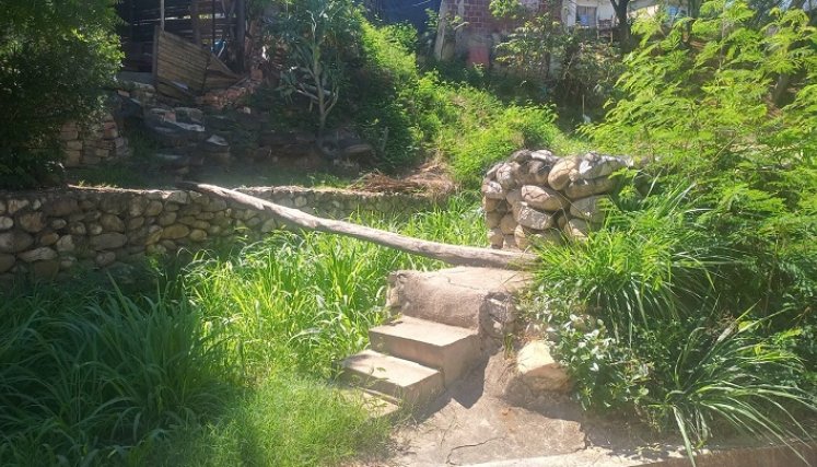 El canal de aguas lluvia está abandonado, muestra de ello es que creció maleza a lo largo de esa estructura.
