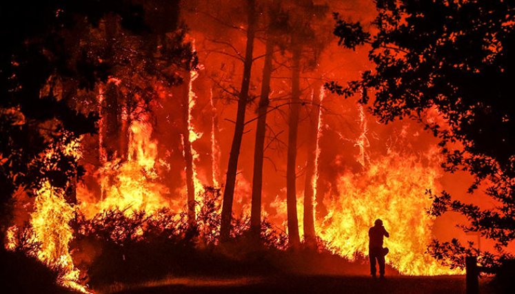 Francia recibe ayuda para enfrentar incendios que arrasan miles de hectáreas./Foto: AFP