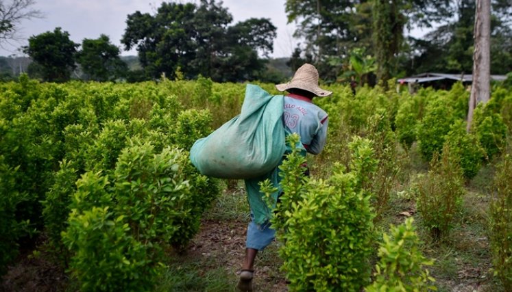 Los campesinos están desesperados por la falta de dinero.