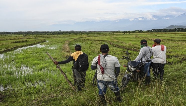 La ley contempla penas para invasores de tierras