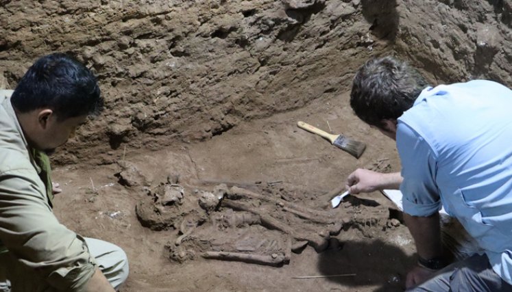 La primera amputación quirúrgica remonta a 31.000 años,