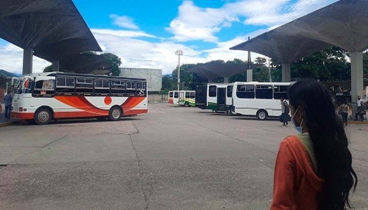 Buses 