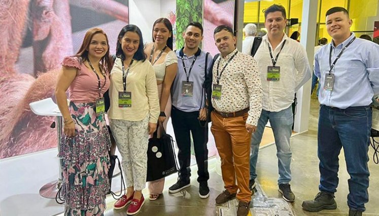delegacion