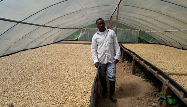Domingo Torres ganó en dos categorías el año pasado en la edición del evento, por su café suave y exótico que cultiva en la finca. / Foto: Archivo