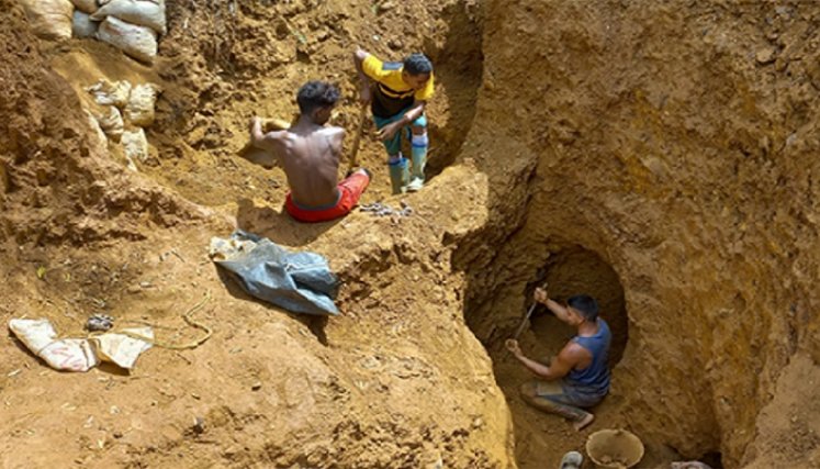 75% del oro en  Venezuela sale  por contrabando 