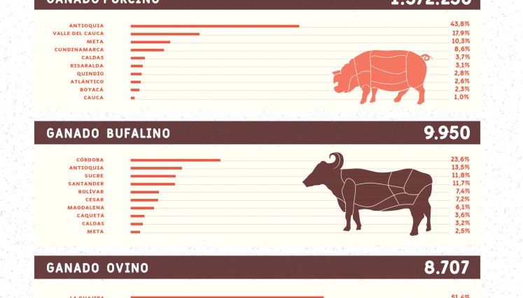Procedencia del ganado