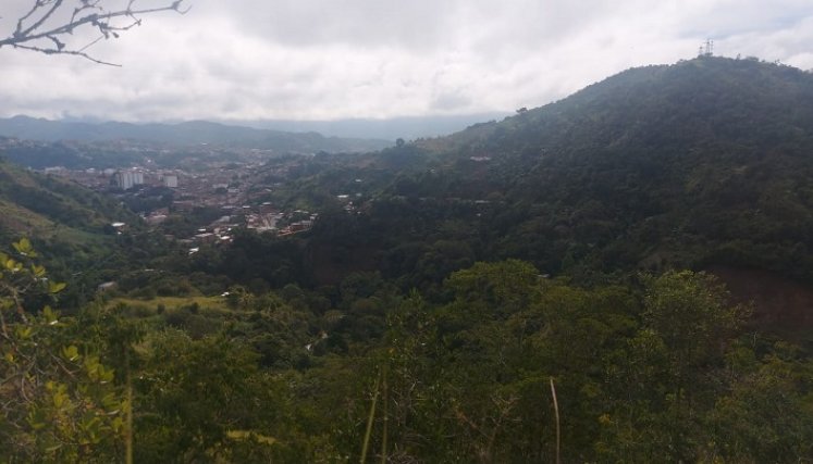 En el Alto del Vicario deambula un sacerdote en pena custodiando los tesoros enterrados en la cordillera. La gente sube a buscar las múcuras, pero no las encuentra.