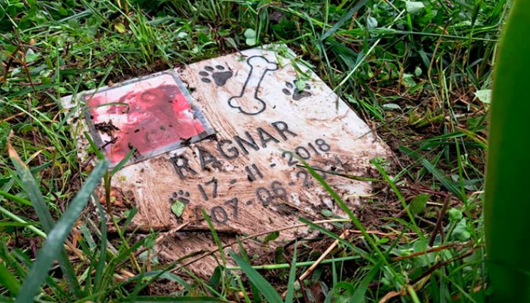 Cementerio de mascotas en el Táchira