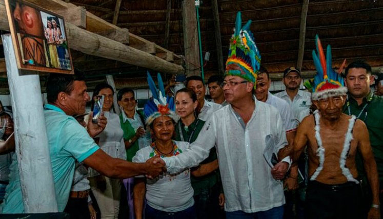 Gobierno le pagaría a productores de hoja de coca para que protejan la selva