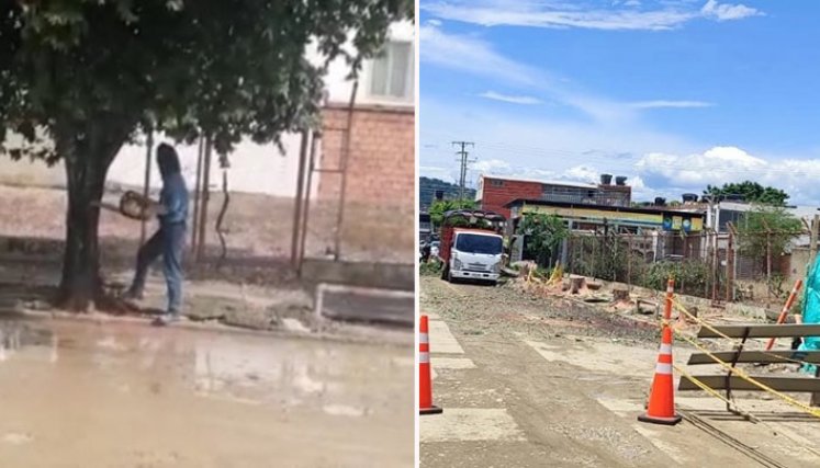 Cucuteños indignados por tala de árboles en Guaimaral./Foto: cortesía