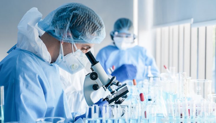 Día Mundial de la Ciencia