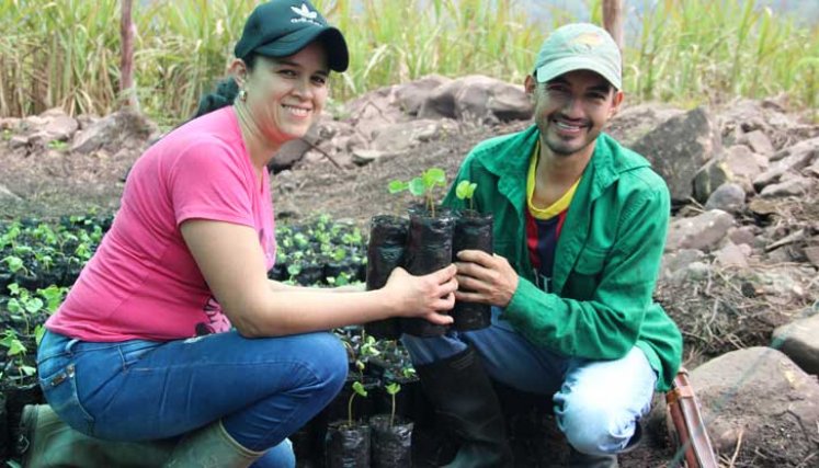El café evoluciona de manera positiva