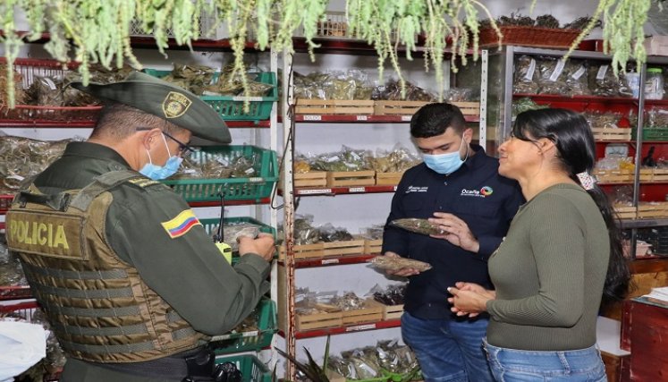 Las autoridades recomiendan la elaboración de pesebres con elementos reciclados para mitigar los efectos en la naturaleza. / Foto: Cortesía / La Opinión 