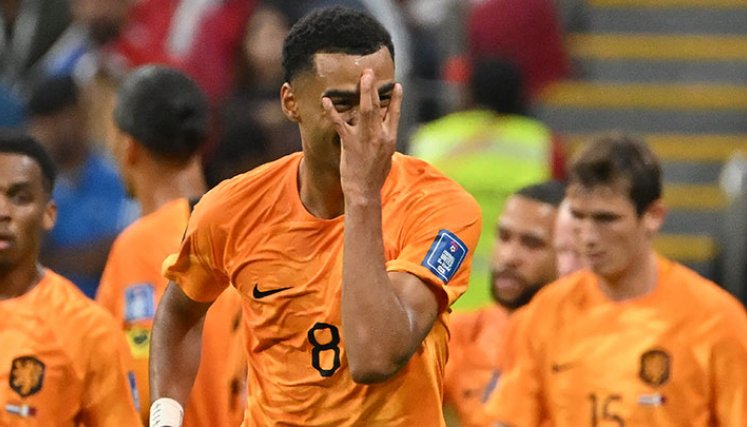 Gakpo llegó a tres goles en el Mundial de Catar. 