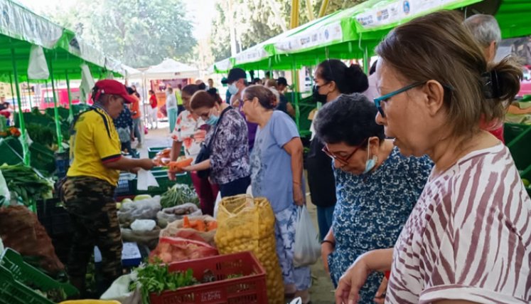 Mercado campesino en La ceiba registró más de 37 millones de pesos en ventas