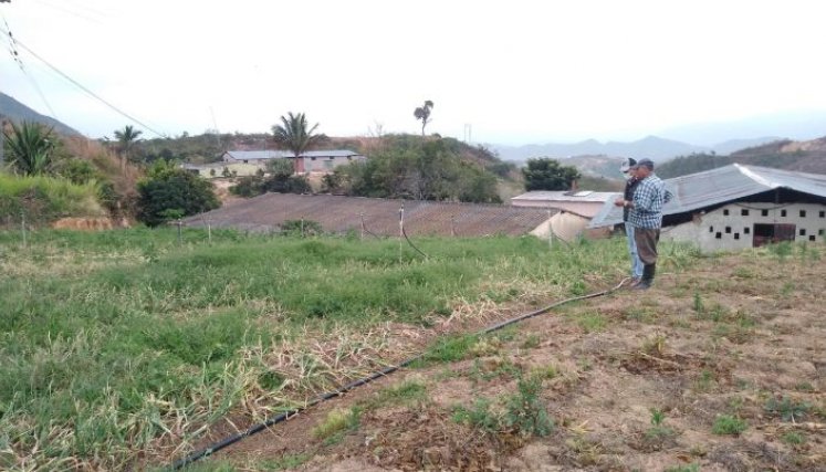 Líneas crediticias hacia los campesinos. / Foto: Cortesía / La Opinión 