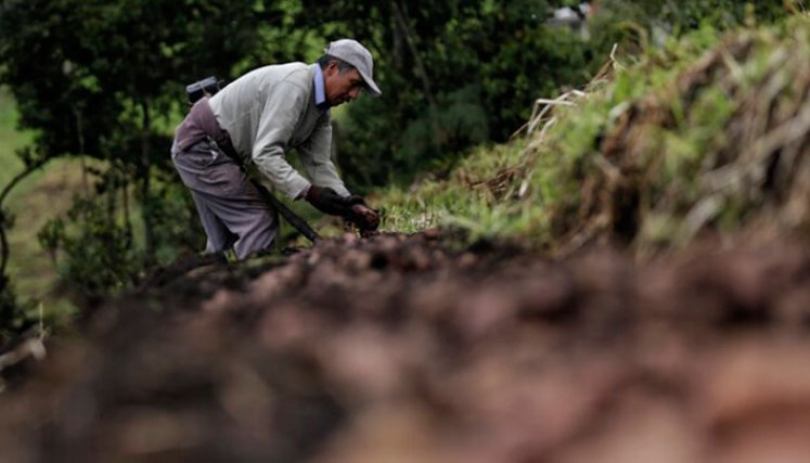 El Producto Interno Bruto (PIB) presentó una variación trimestral anualizada de 6,4%. / Foto: Colprensa