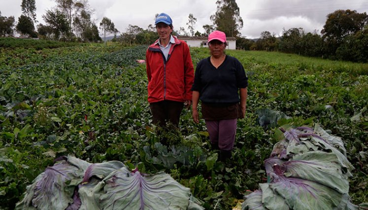 el Gobierno anunció una rebaja en las tasas de interés en las líneas de Pequeño Productor, Mujer Rural, Joven Rural y Agrolisto. / Foto: Archivo