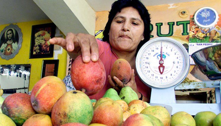 Mincomercio celebró la primera  exportación de mango./ Foto Archivo