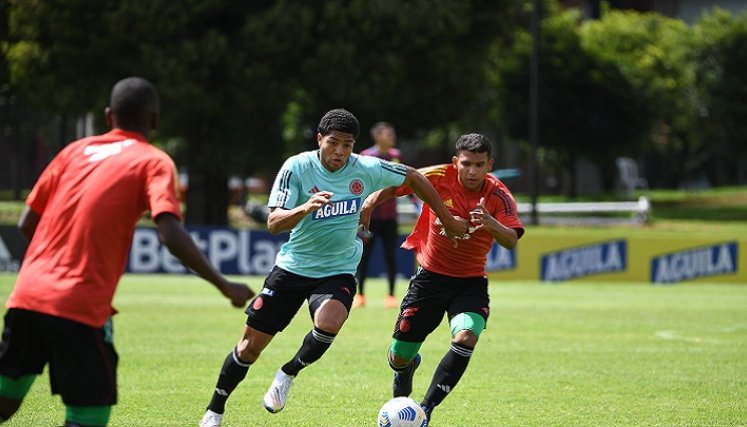 La selección Colombia Sub-20 se encuentra concentrada en Cali para afrontar el Suramericano de la categoría.