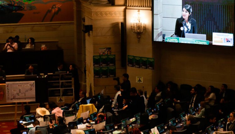 Ministra de Minas, Irene Vélez
