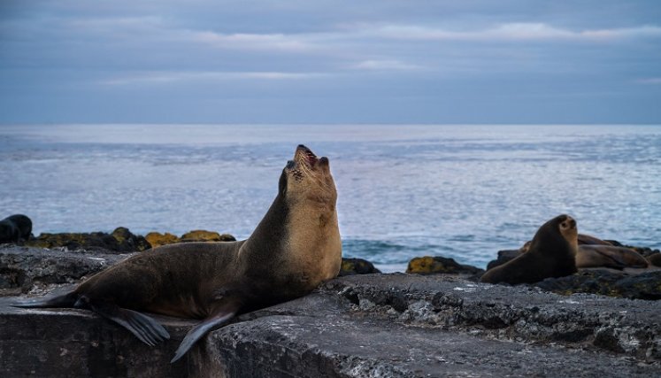 Glaciares. / Foto: AFP