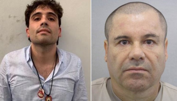 Ovidio Guzmán, el joven y poderoso heredero del 'Chapo' Guzmán./Foto: internet