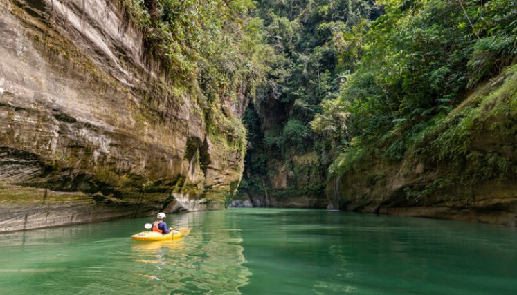 ¿Cuál es santuario natural que está acabando la minería ilegal?