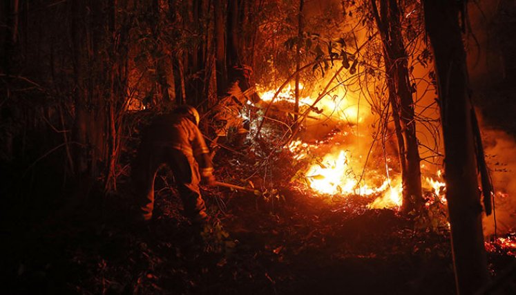 Incendio en Chile