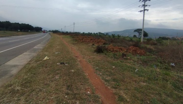 Corponor se compromete con la compensación ambiental en Los Patios