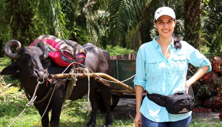 Fedepalma abre postulaciones a Premio Mujer Palmera 2023 