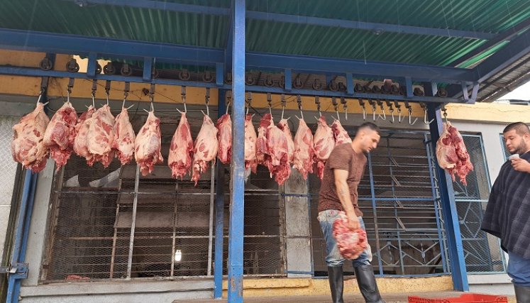 Exigen precio justo para el kilo de carne a puerta de corral . / Foto: Cortesía