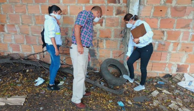 Los criaderos de mosquitos son el principal foco de propagación de la enfermedad. /Foto Cortesía / La Opinión 