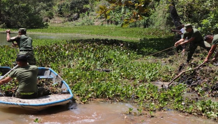 En Ocaña se adelantan programas ecológicos para conservar los humedales.