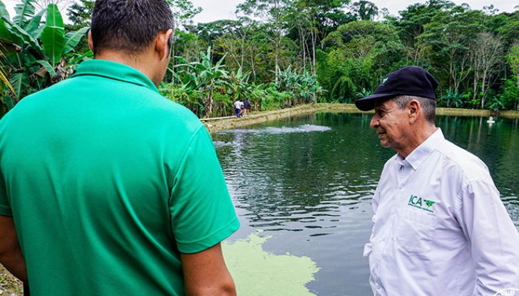 El gerente seccional del ICA, Carlos Hernández, visitó  a los piscicultores de Asopistar. / Foto Cortesía