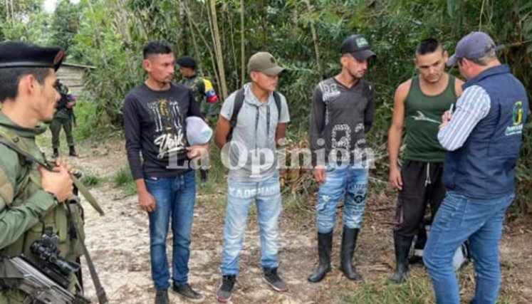 liberados