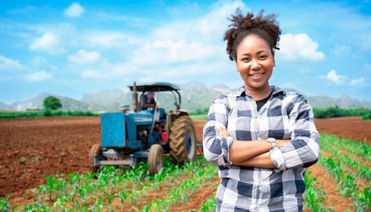 Las limitaciones que experimentan las mujeres en términos de conectividad generan un gran impacto en términos de acceso a bienes, salud, educación y acceso a productos financieros. 