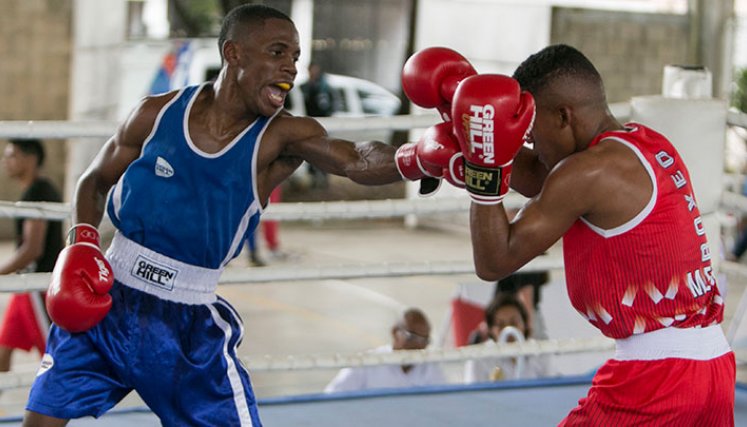 Campeonato Nacional de boxeo en Cúcuta.
