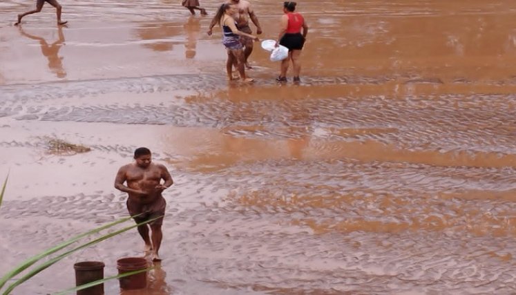 Gestión del riesgo lanzó un S.O.S. para salvar la fauna y flora en las riberas de los ríos y evitar una catástrofe mayor./ Foto: Cortesía.
