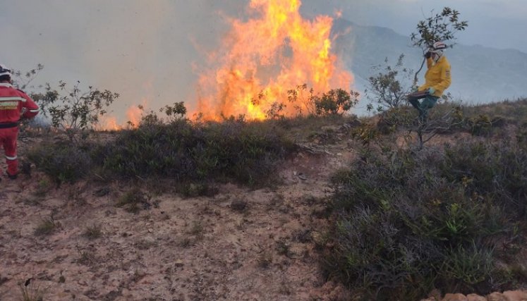 Unas 70 hectáreas de capa vegetal fueron quemadas por un incendio forestal en Ábrego.