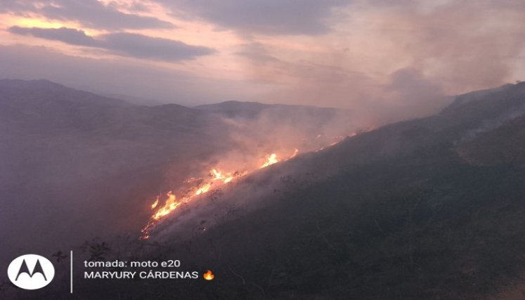 Unas 70 hectáreas de capa vegetal fueron quemadas por un incendio forestal en Ábrego.