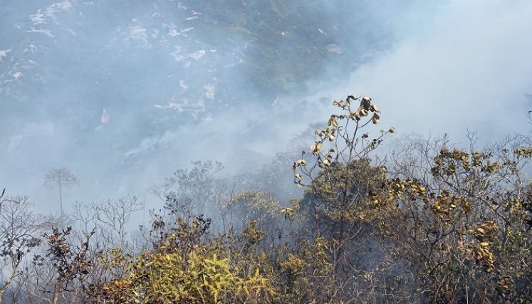 Unas 70 hectáreas de capa vegetal fueron quemadas por un incendio forestal en Ábrego.