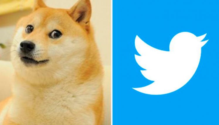 twitter