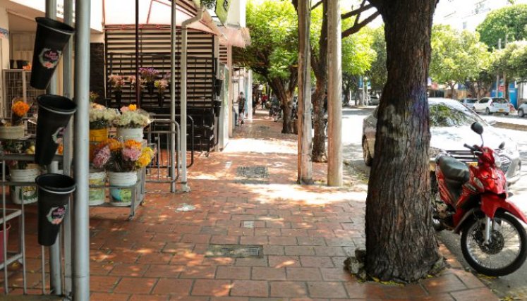 Por primera vez se logró crear la Asociación de Floristerías Cúcuta  (Asoflocuc), para mitigar la ocupación indebida del espacio público. 