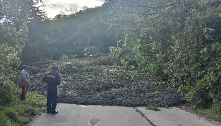 Por ahora, intentan determinar si el deslizamiento es producto de las lluvias o por una falla geológica. / Foto Cortesía / La Opinión 