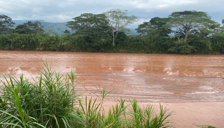 Campesinos emprenden campaña para rescatar las especies endémicas en el Catatumbo.