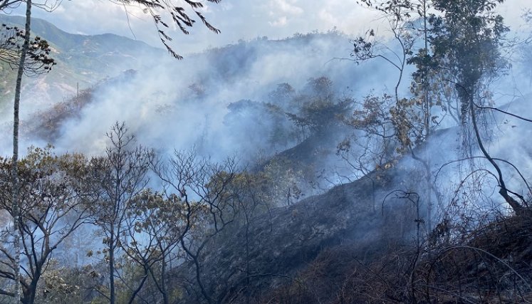 El llamado a los pobladores es evitar las quemas, debido al riesgo de incendio en las zonas vegetales. / Foto Cortesía.