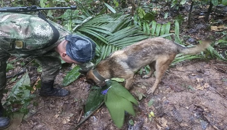 encuentran vivos los 4 niños que estaban perdidos 