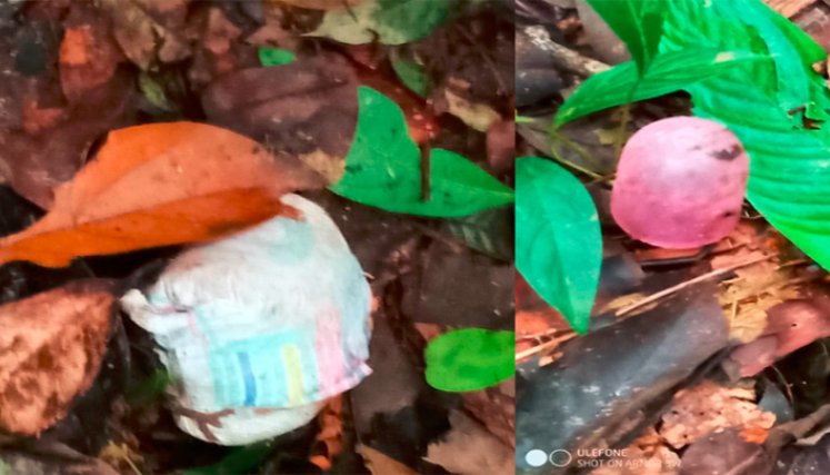 Pistas niños desaparecidos Guaviare 